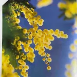 Les Jardins De Diana 망들리유 라 나플